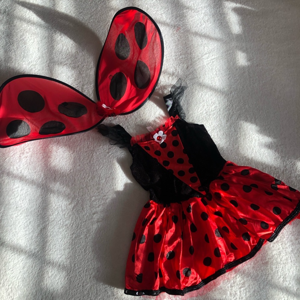 Halloween Ladybug Costume